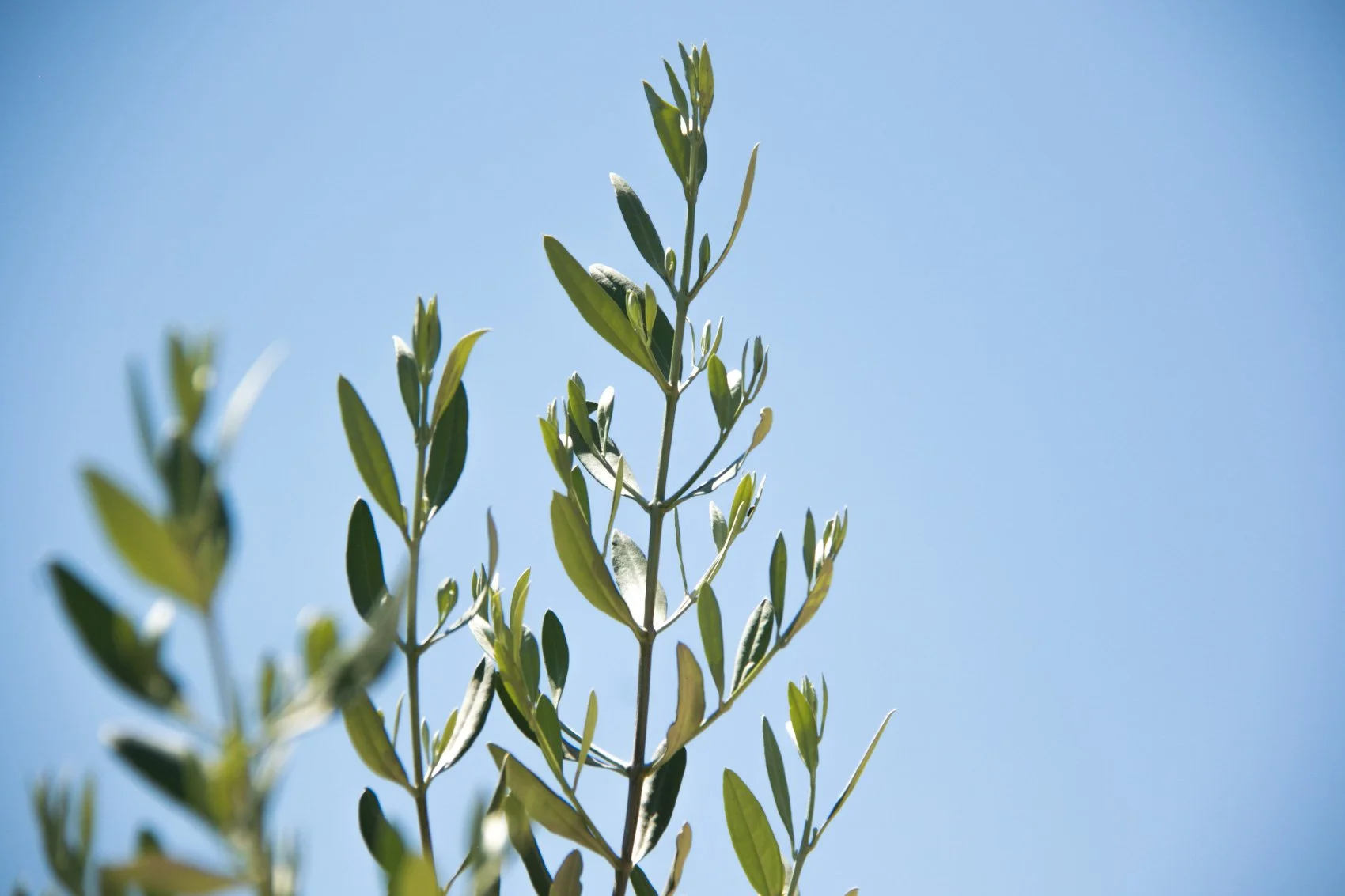 2023_TRAV_ISRAEL & PALESTINE-017.jpg