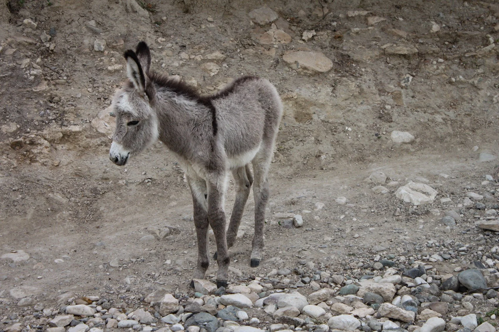 2013_Haiti-79.jpg