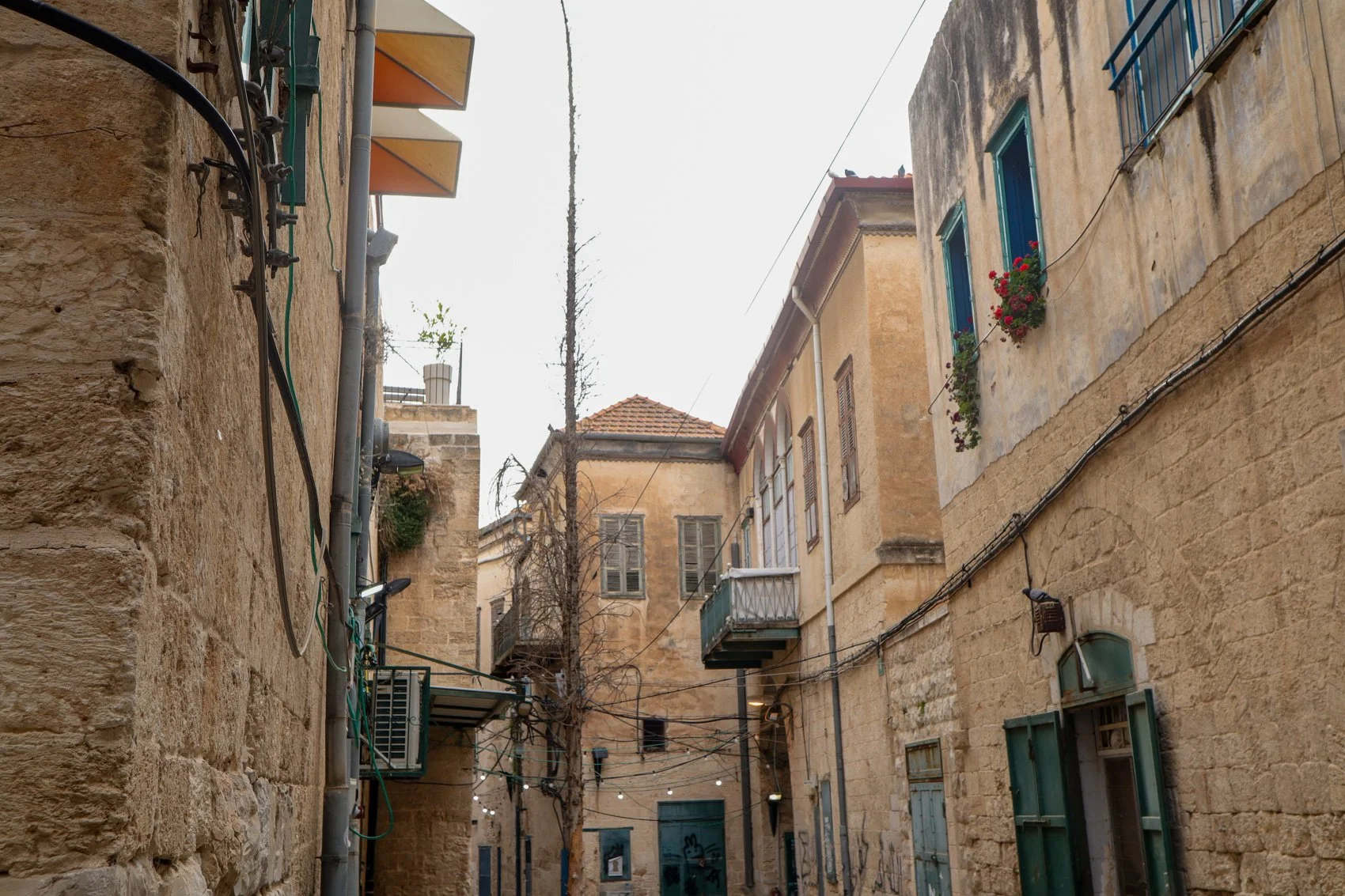 2023_TRAV_ISRAEL & PALESTINE-203.jpg