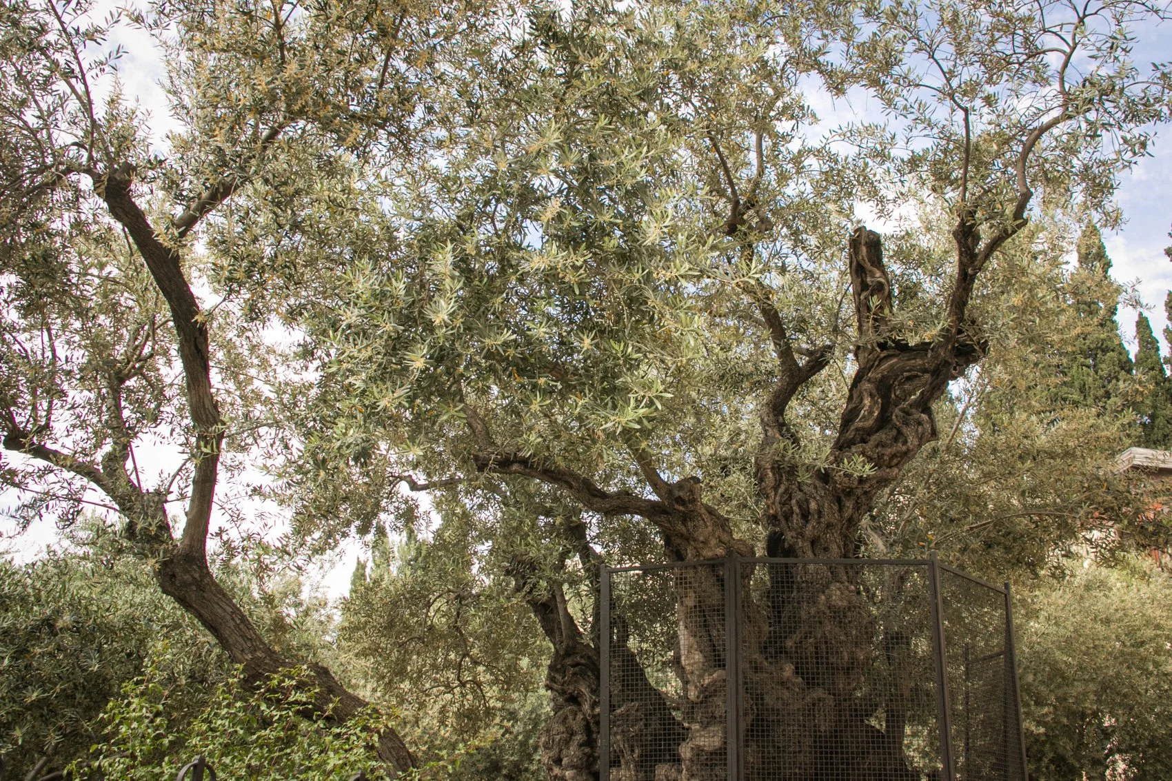 2023_TRAV_ISRAEL & PALESTINE-069.jpg