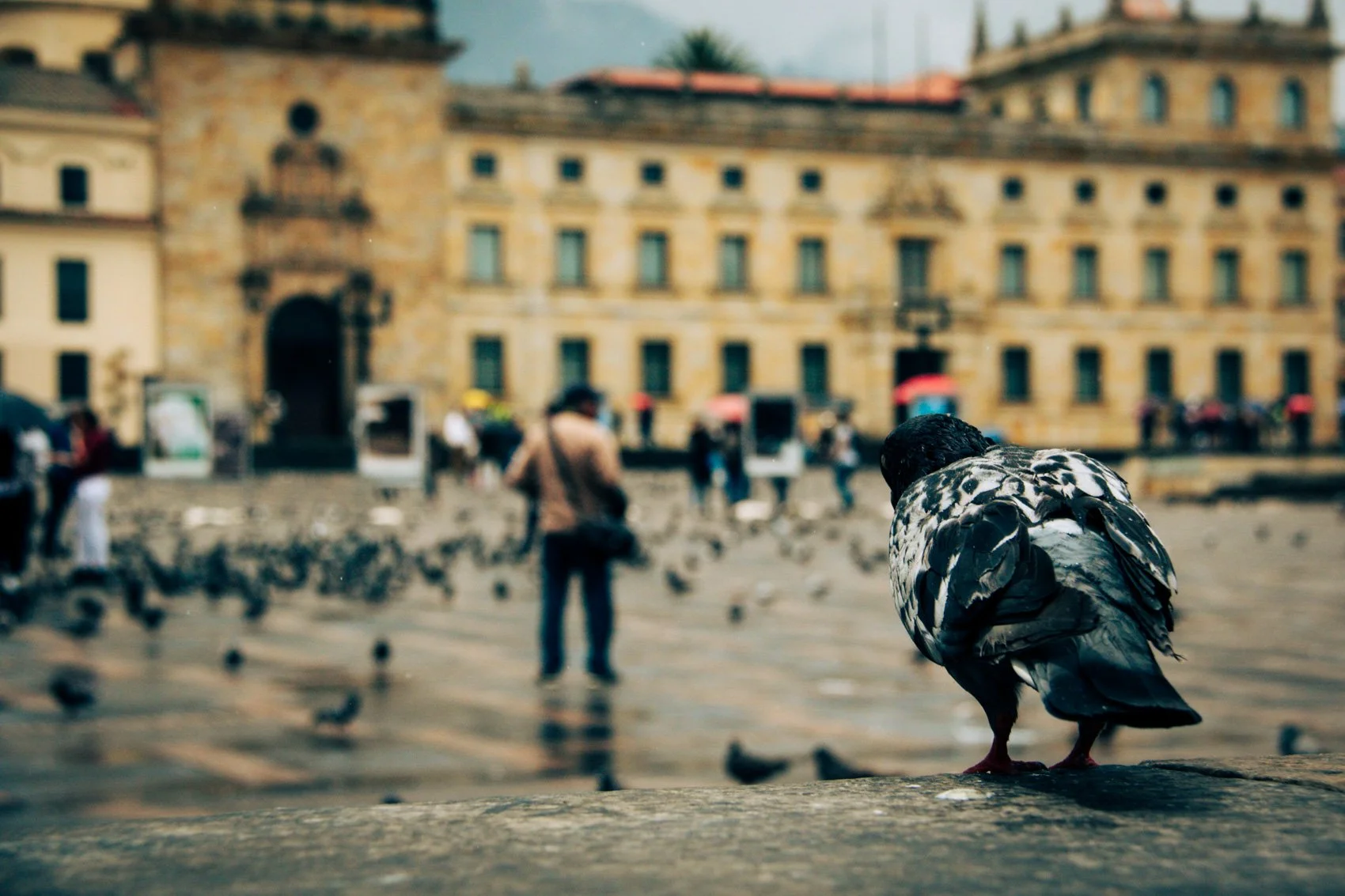 Colombia_2019-33.jpg