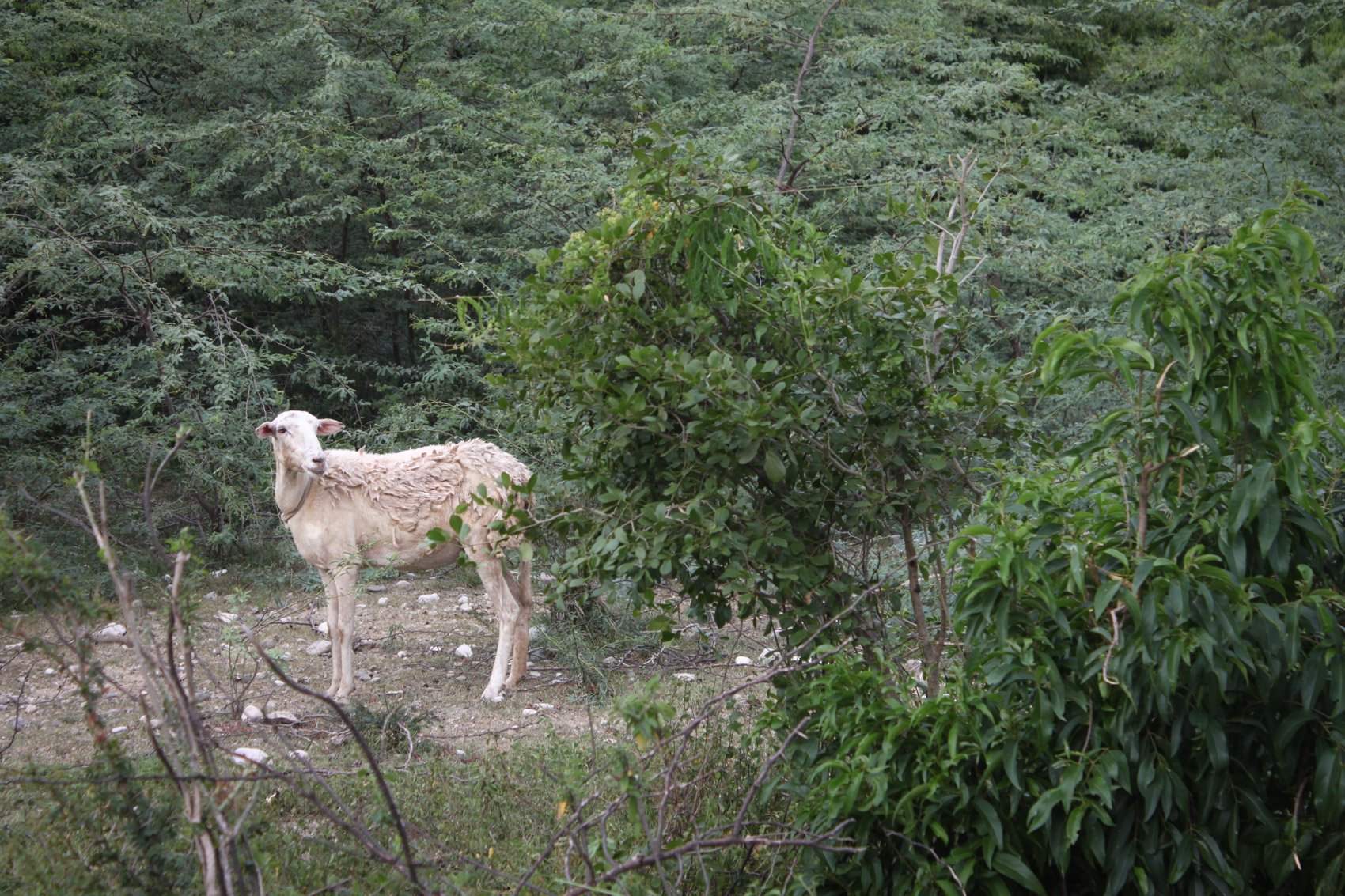 2013_Haiti-74.jpg