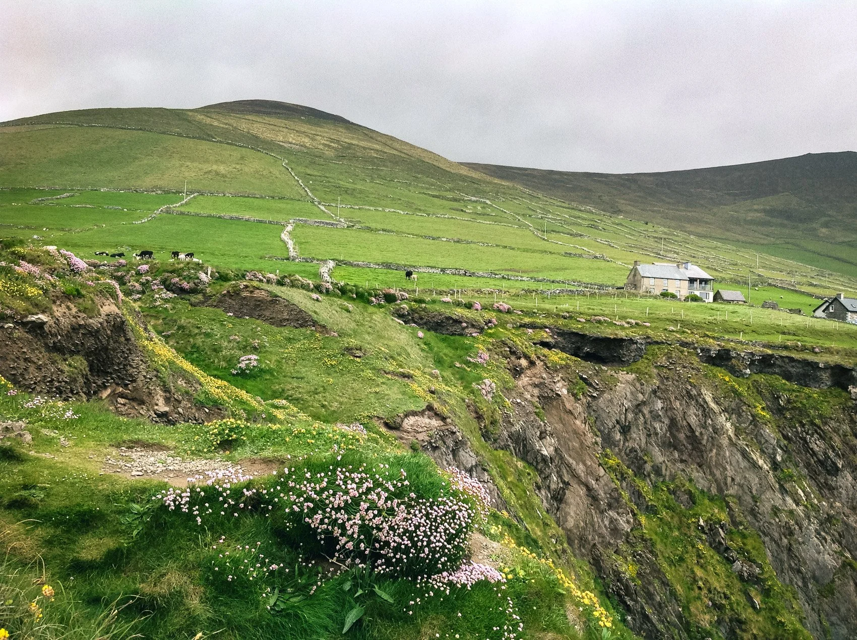 2013_Ireland-80.jpg