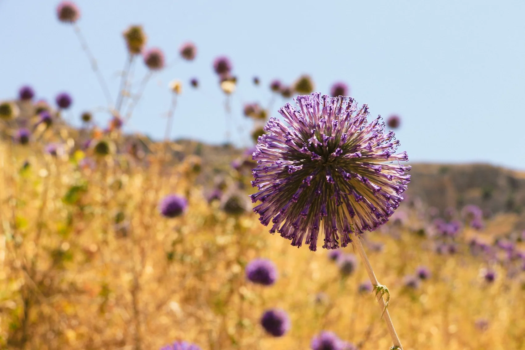 2023_TRAV_ISRAEL & PALESTINE-037.jpg