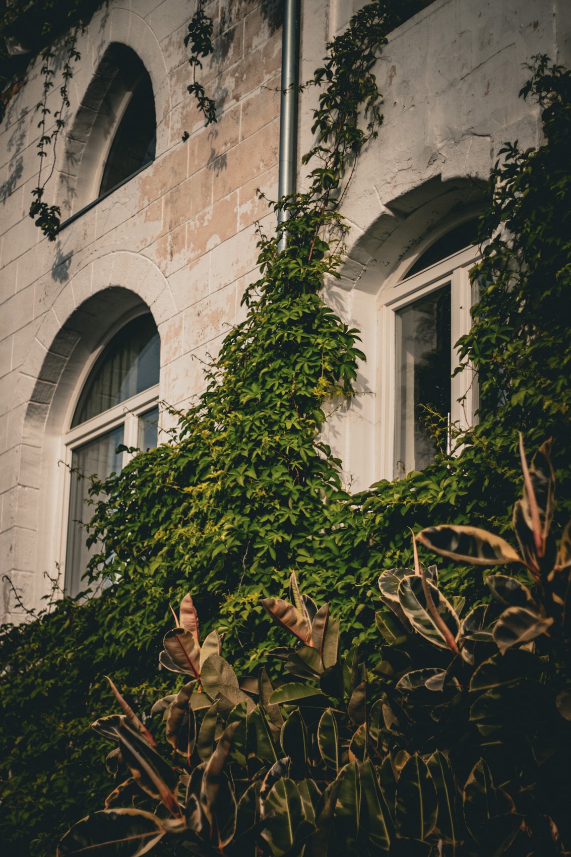 2023_TRAV_ISRAEL & PALESTINE-291.jpg