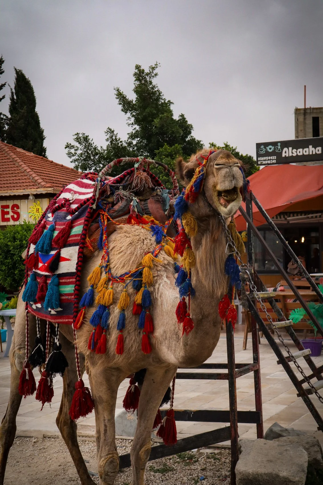 2023_TRAV_ISRAEL & PALESTINE-233.jpg
