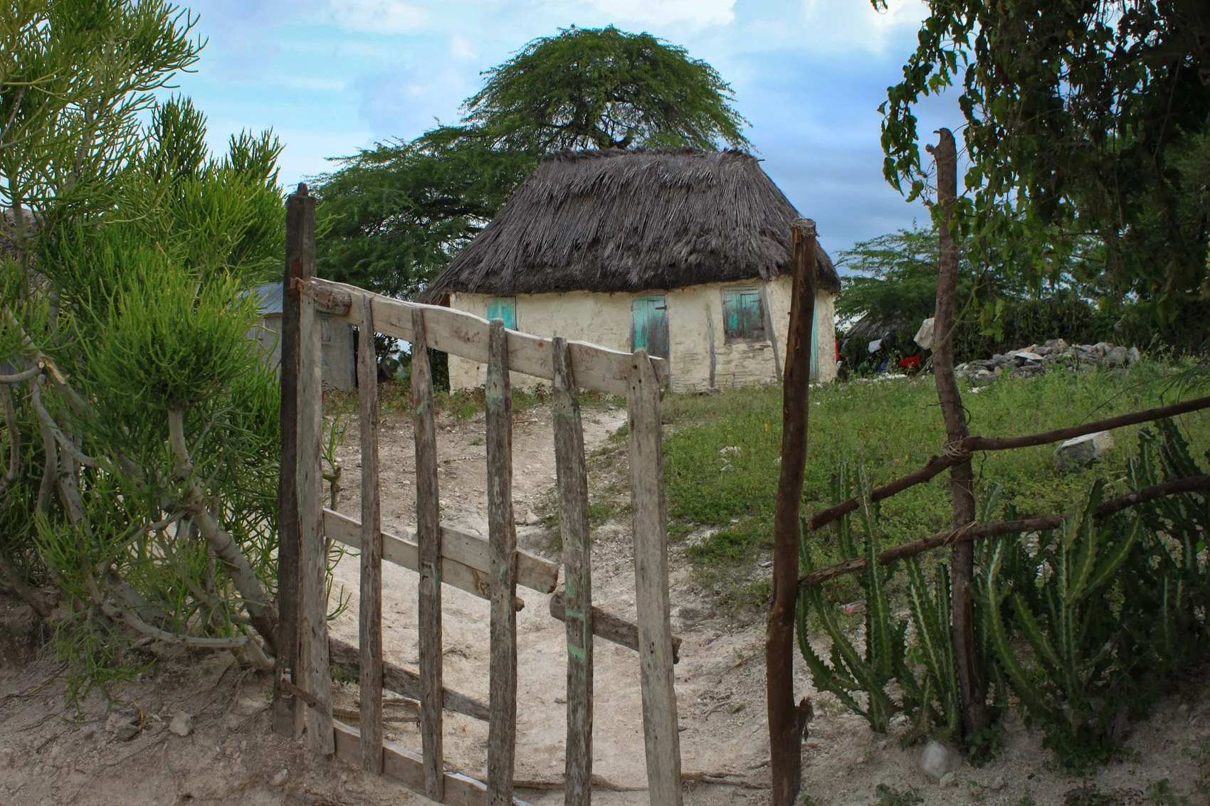 2013_Haiti-85.jpg