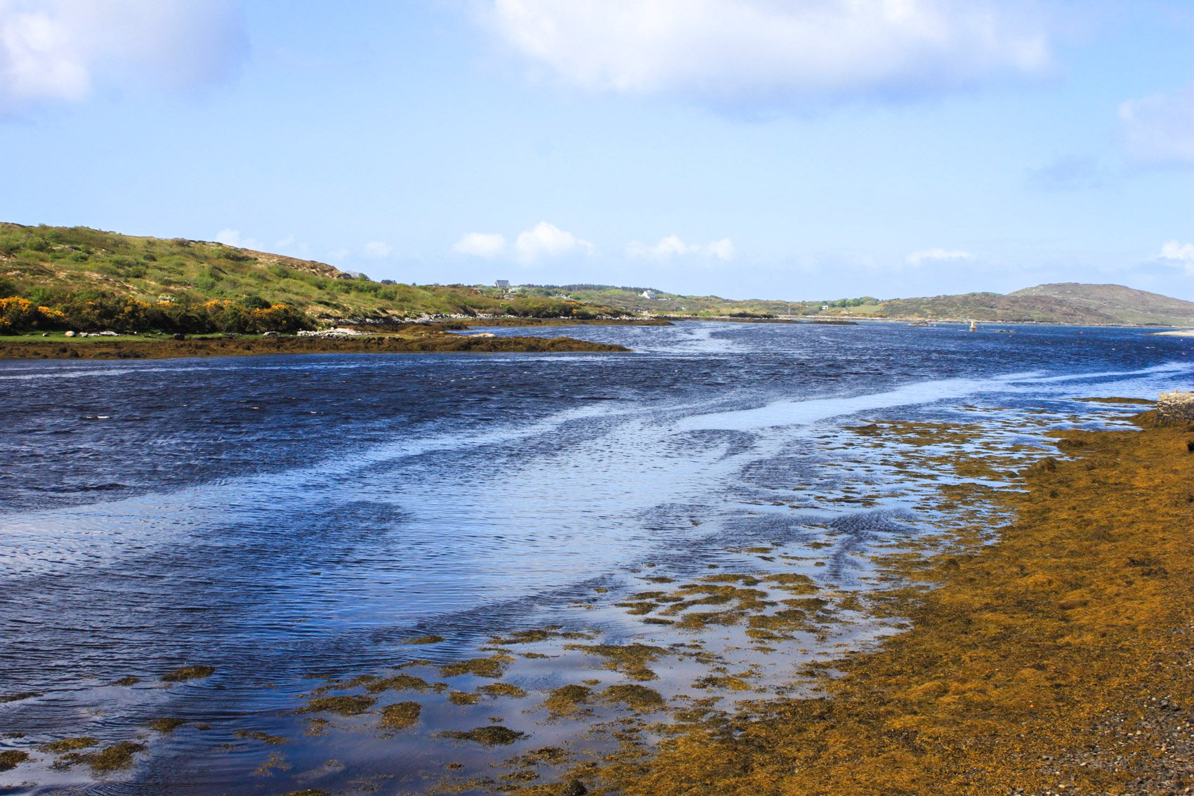 2013_Ireland-36.jpg