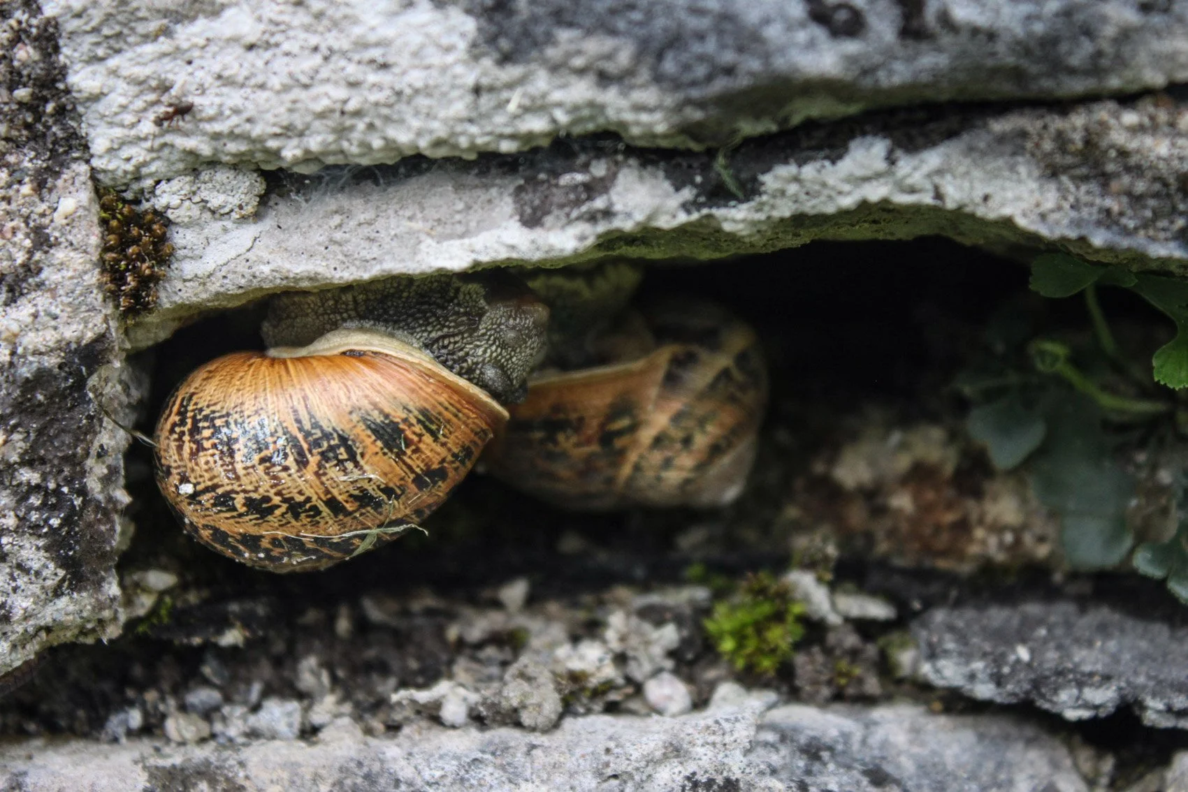 2013_Ireland-33.jpg