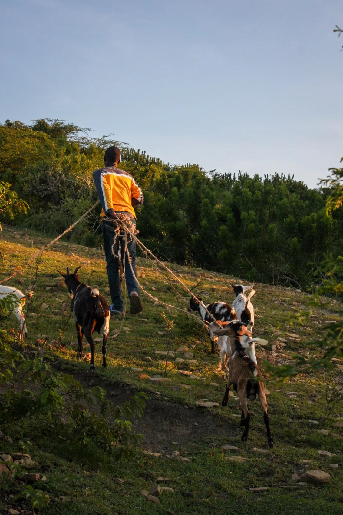 2013_Haiti-33.jpg
