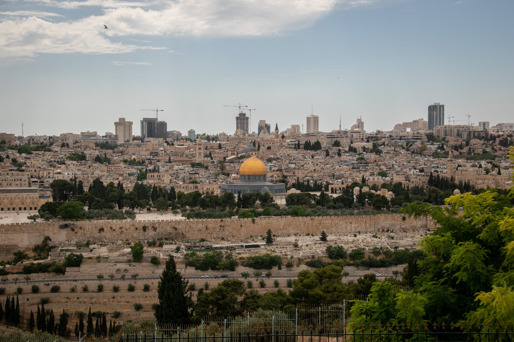 2023_TRAV_ISRAEL & PALESTINE-051.jpg