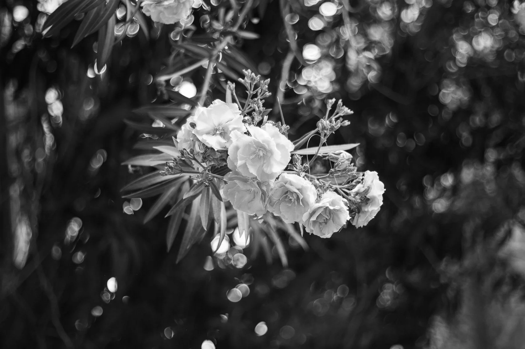 2023_TRAV_ISRAEL & PALESTINE-151.jpg