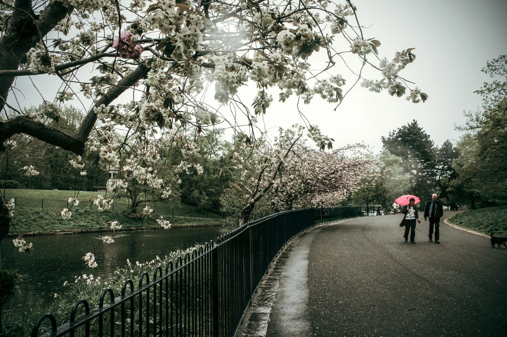 2013_ENGLAND-2.jpg