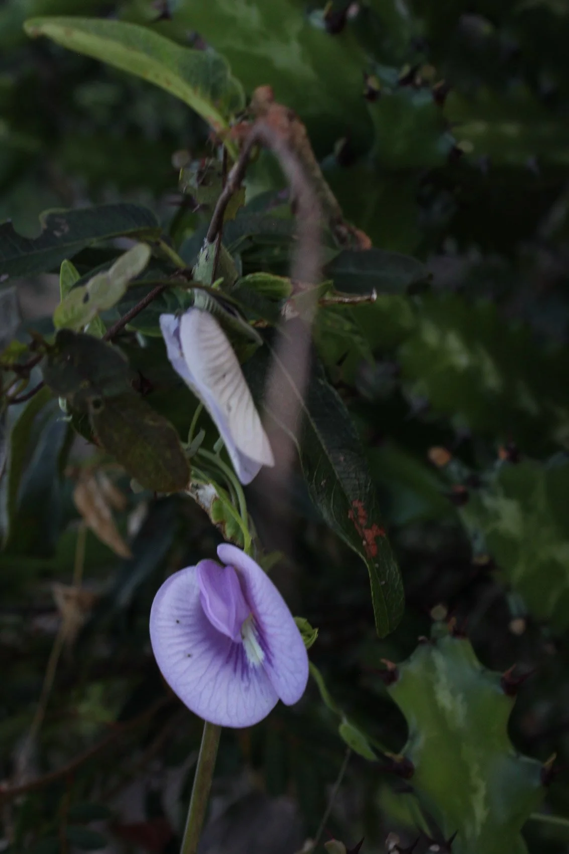 2013_Haiti-28.jpg