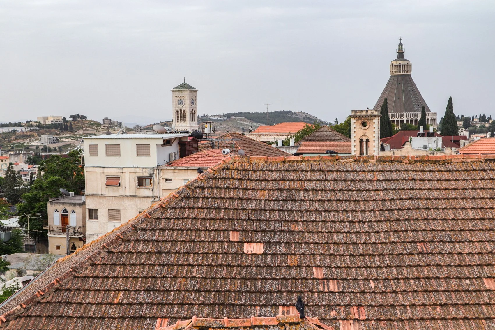 2023_TRAV_ISRAEL & PALESTINE-196.jpg