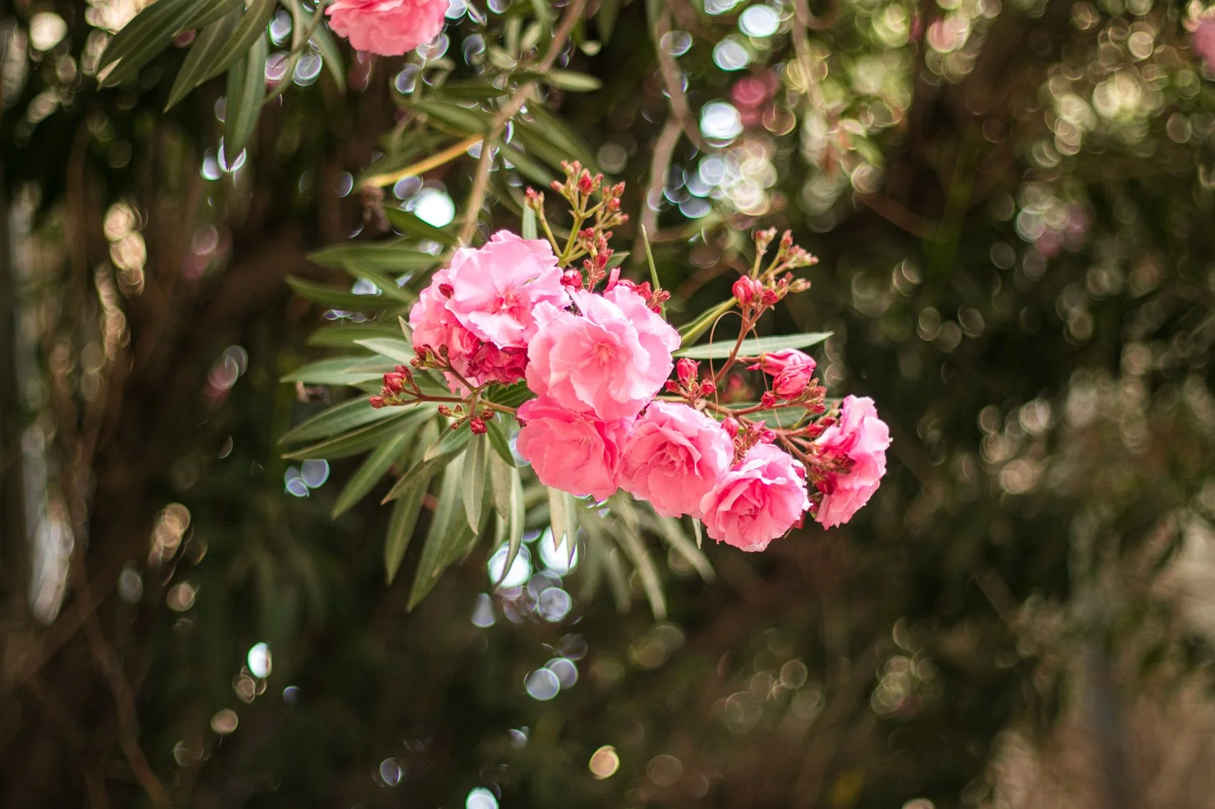 2023_TRAV_ISRAEL & PALESTINE-004.jpg