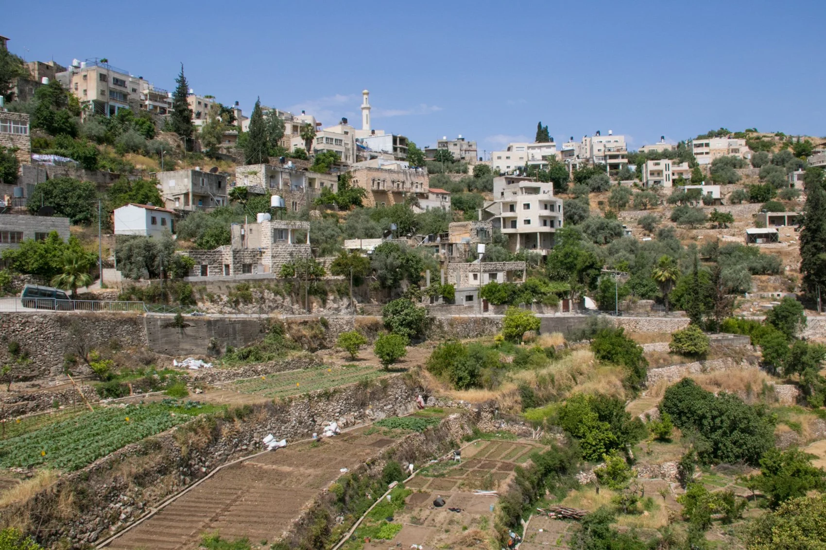 2023_TRAV_ISRAEL & PALESTINE-101.jpg