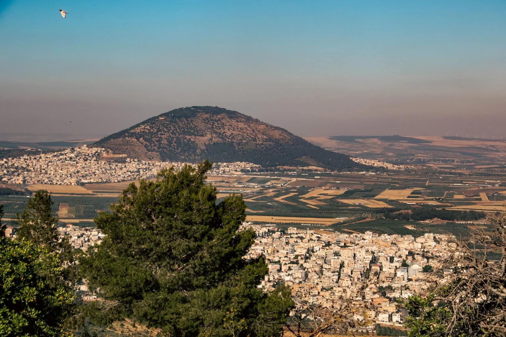 2023_TRAV_ISRAEL & PALESTINE-301.jpg