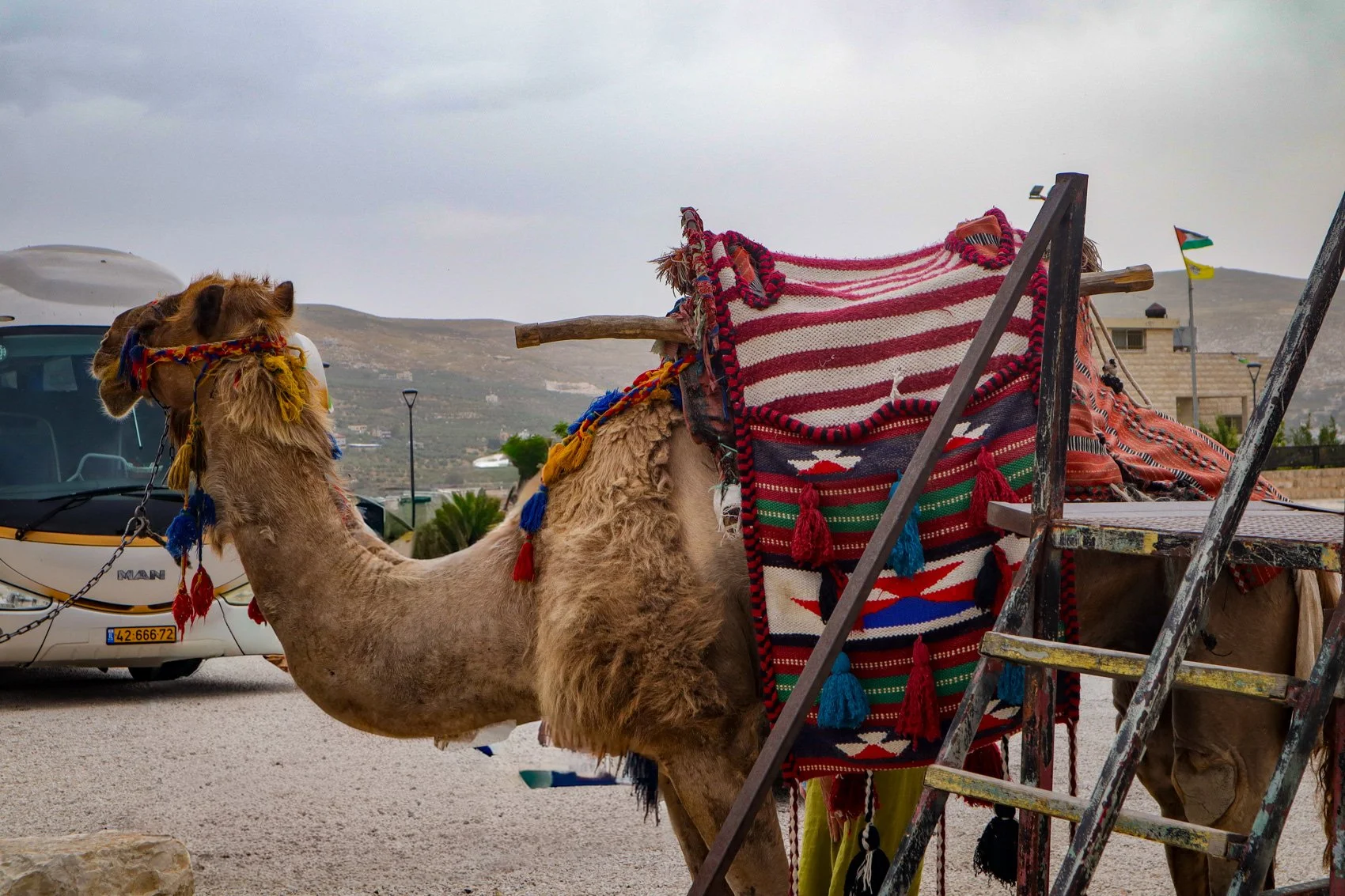 2023_TRAV_ISRAEL & PALESTINE-231.jpg