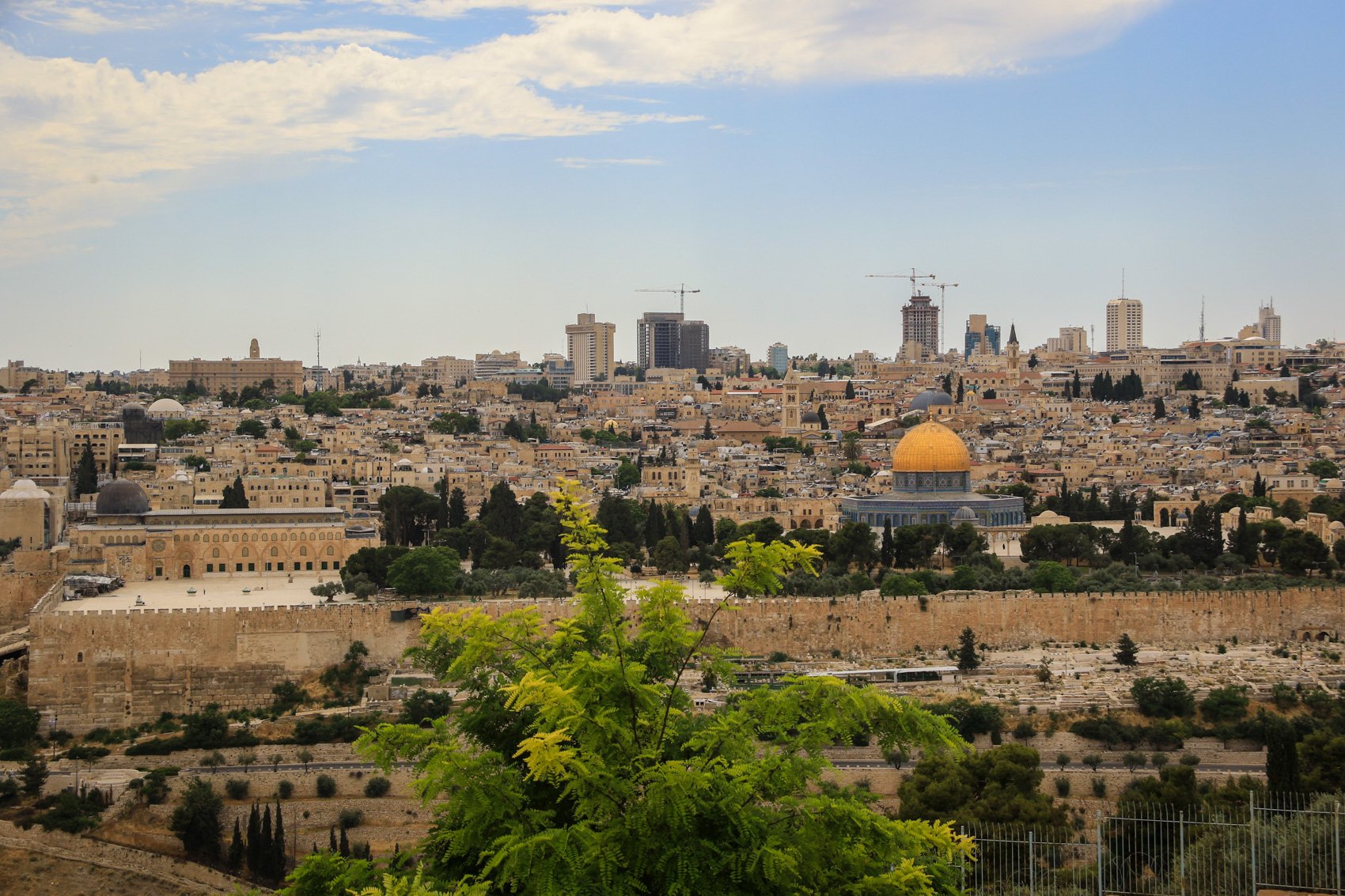 2023_TRAV_ISRAEL & PALESTINE-417.jpg