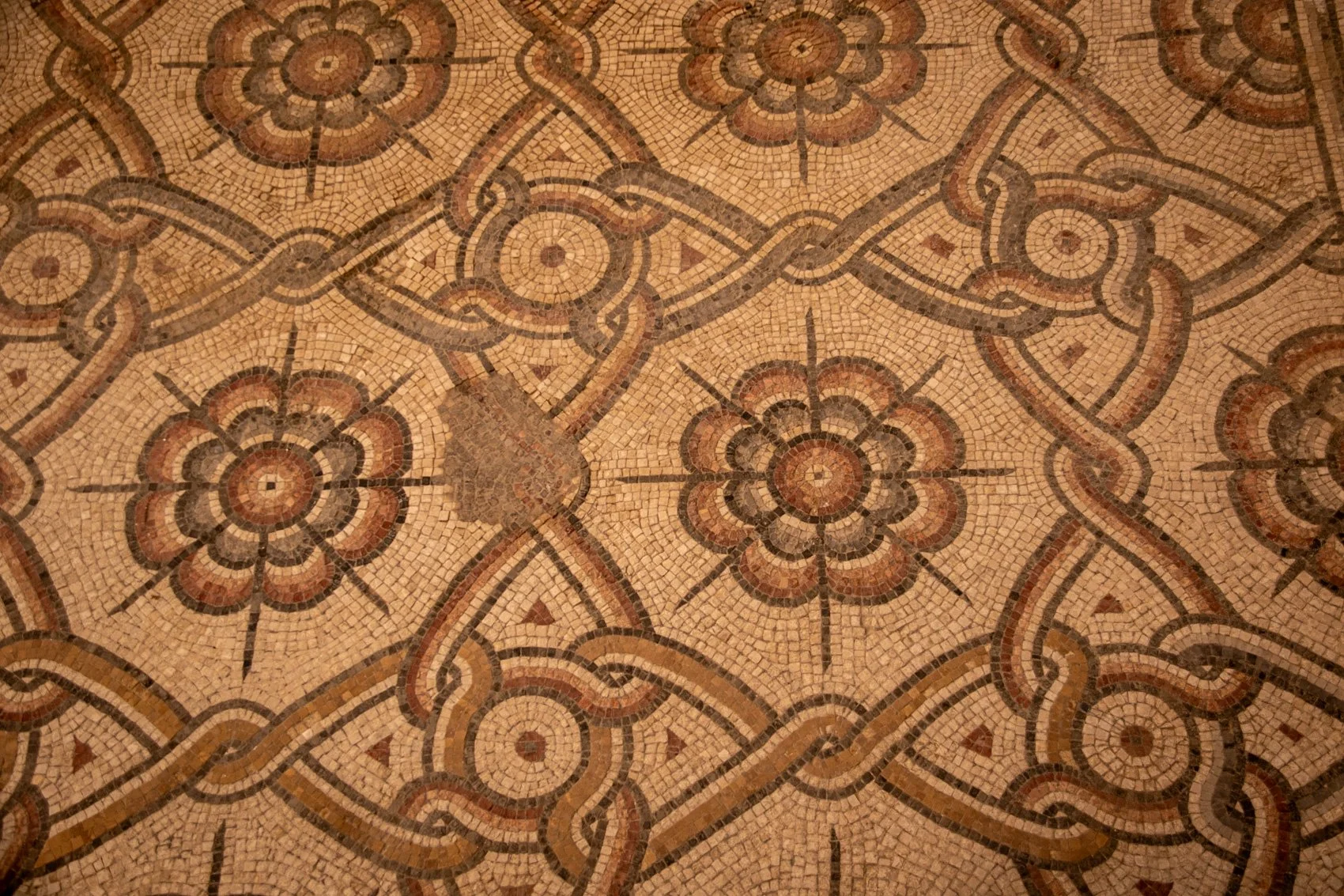 2023_TRAV_ISRAEL & PALESTINE-340.jpg