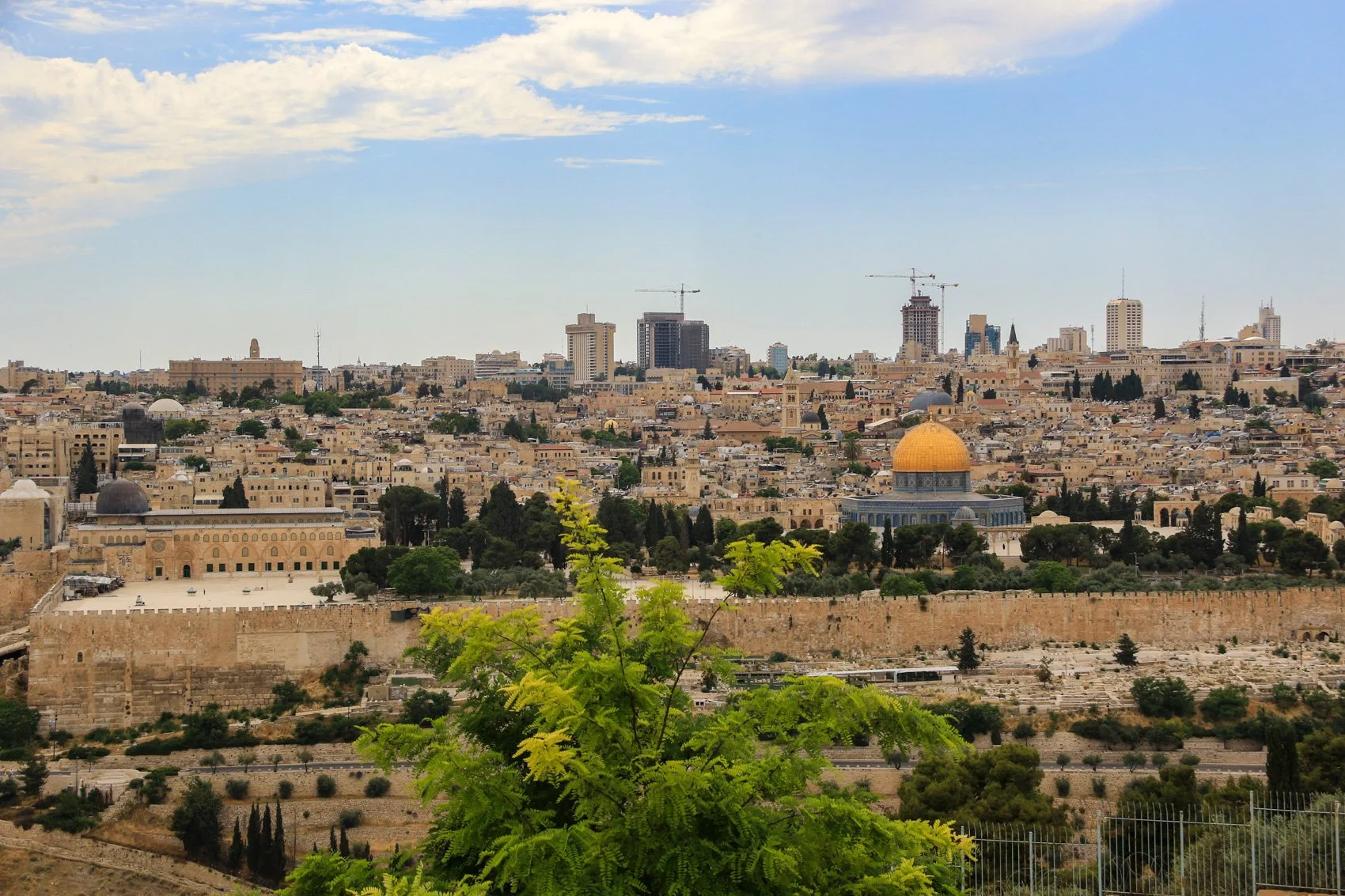 2023_TRAV_ISRAEL & PALESTINE-049.jpg