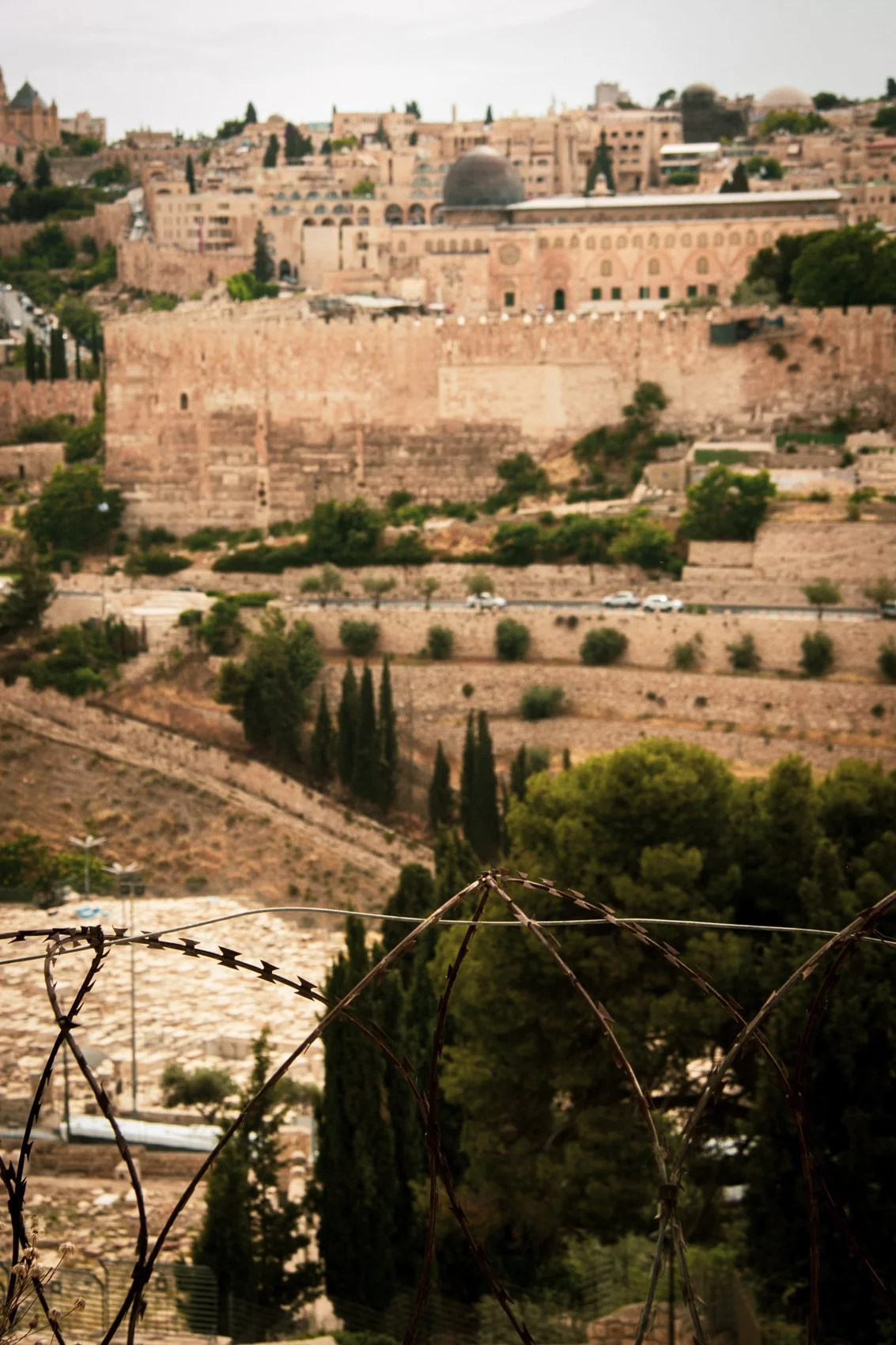 2023_TRAV_ISRAEL & PALESTINE-060.jpg