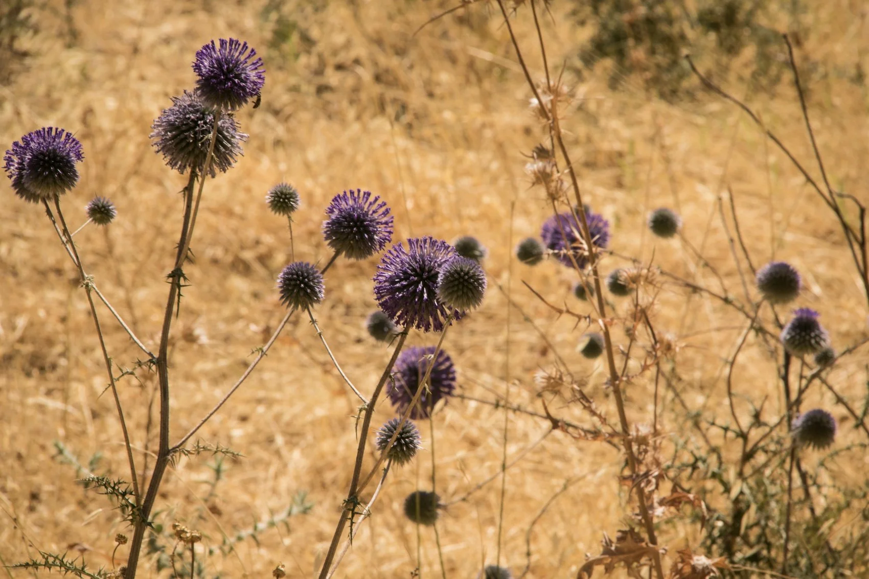 2023_TRAV_ISRAEL & PALESTINE-034.jpg