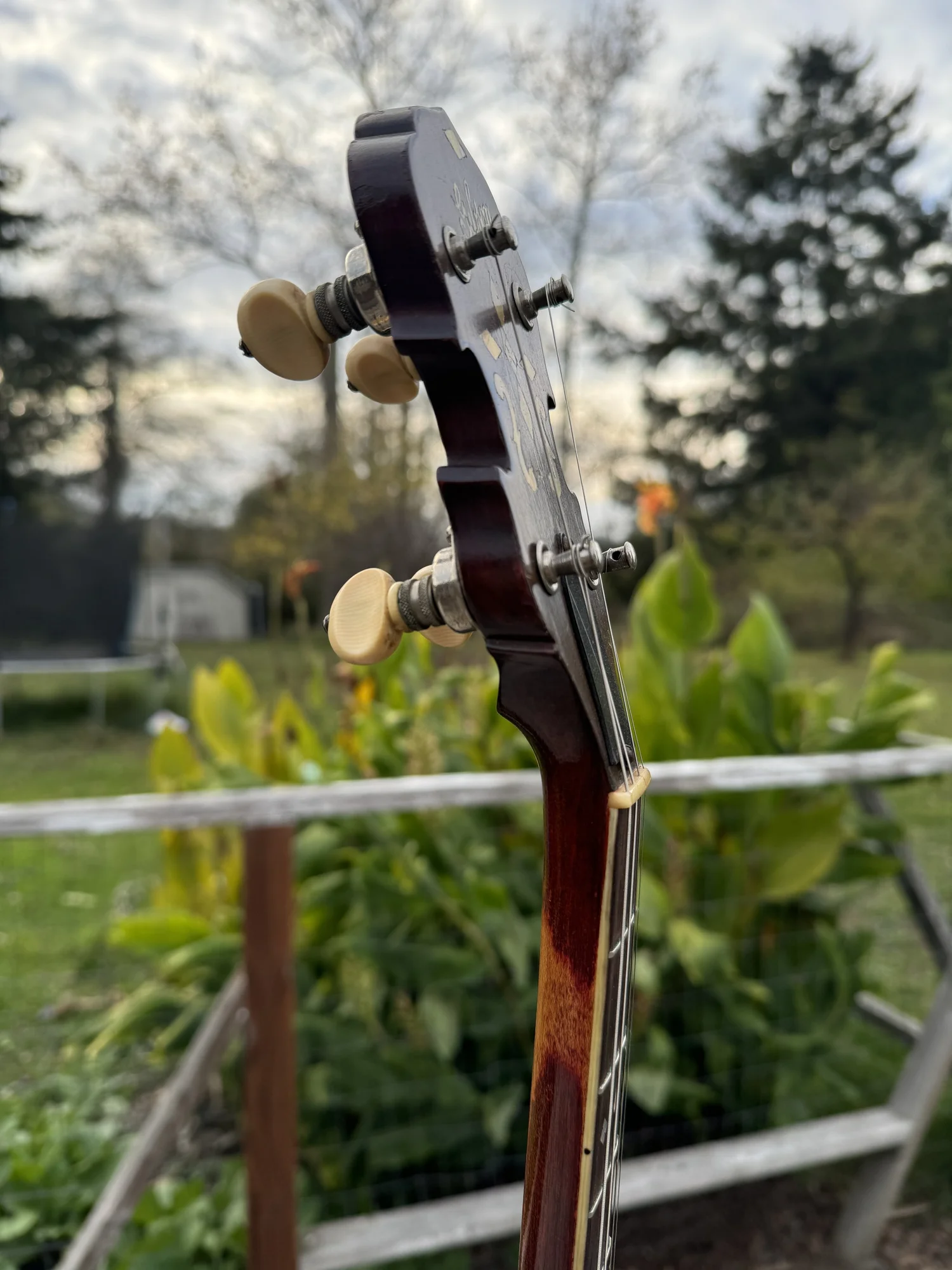 Gibsonバンジョー Early 30's Gibson RB-6 Conversion played by Charlie Cushman