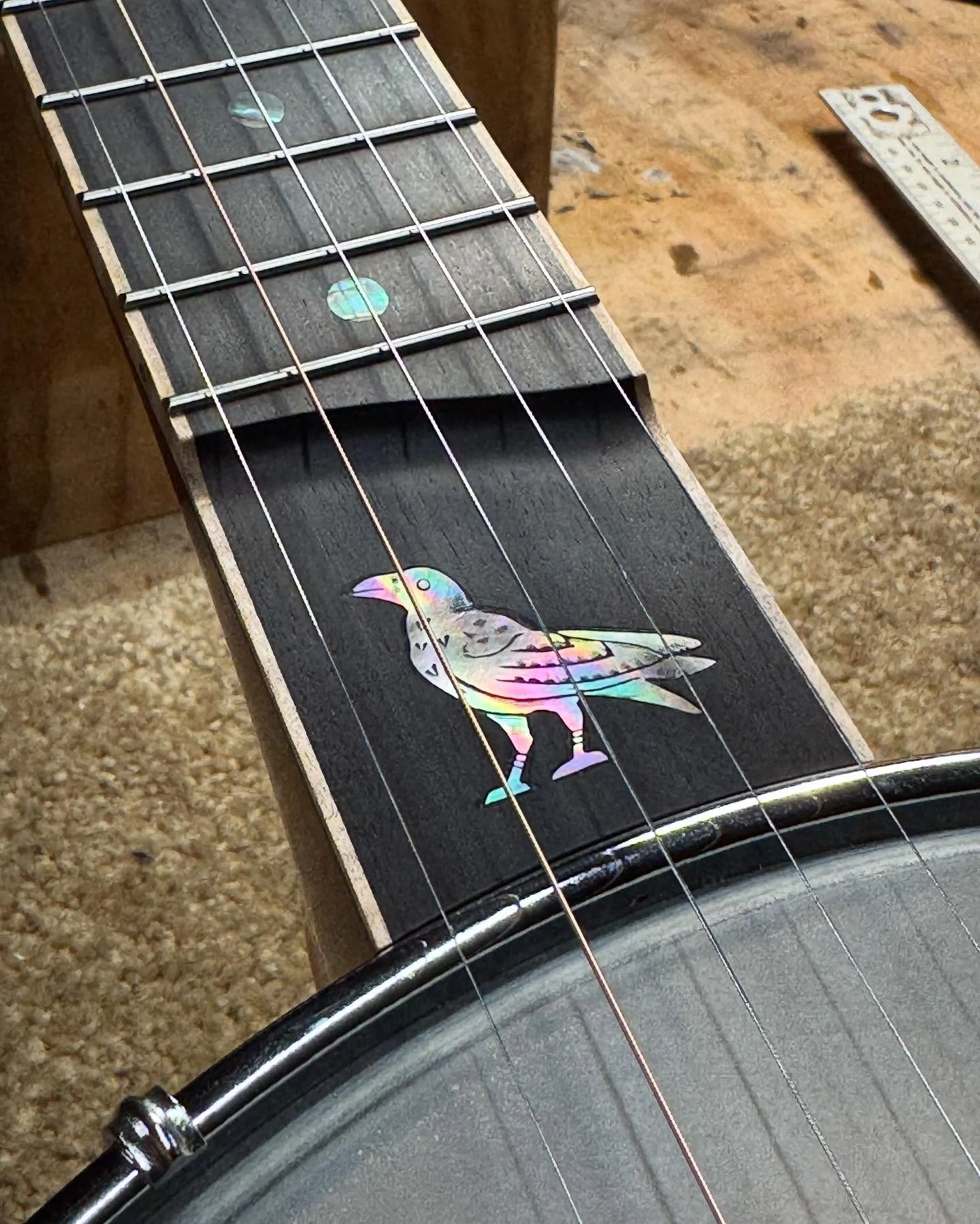 SOLD ✔️with an added custom Crow inlay in the scoop. Heading out the door to arrive before Christmas 🪕🎄🪕 #vancebanjos #cybersold #openbackbanjo #banjo #custominlay #iOTA #westcoastbanjo #humboldt #banjoshop #northerncalifornia #humboldt #banjomake