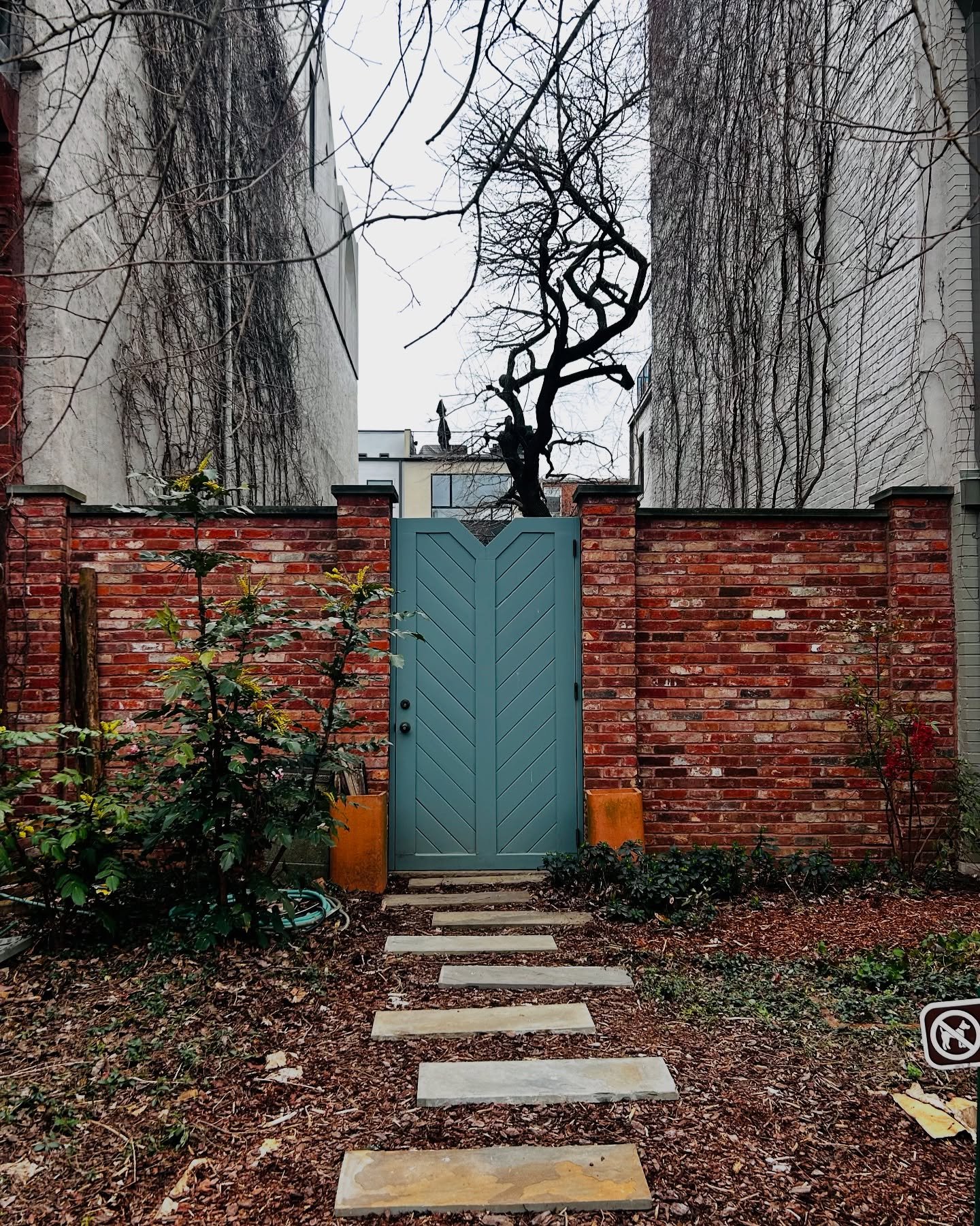 I went out to lunch and ran into this cute side door. Quietly pretty.