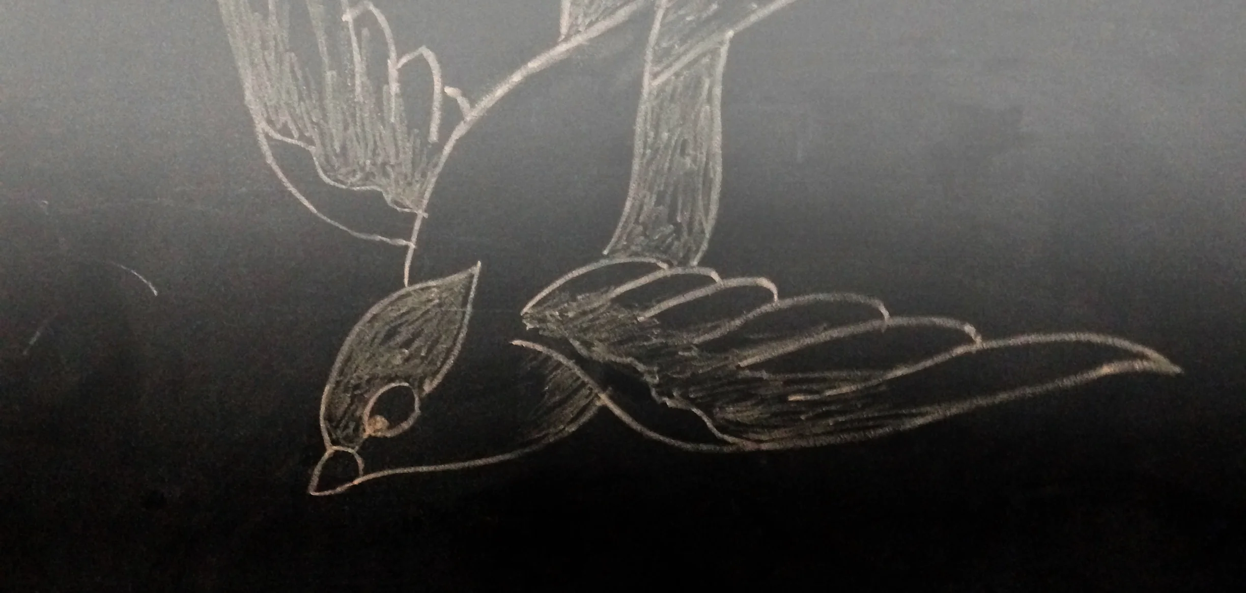 Bird1.jpg