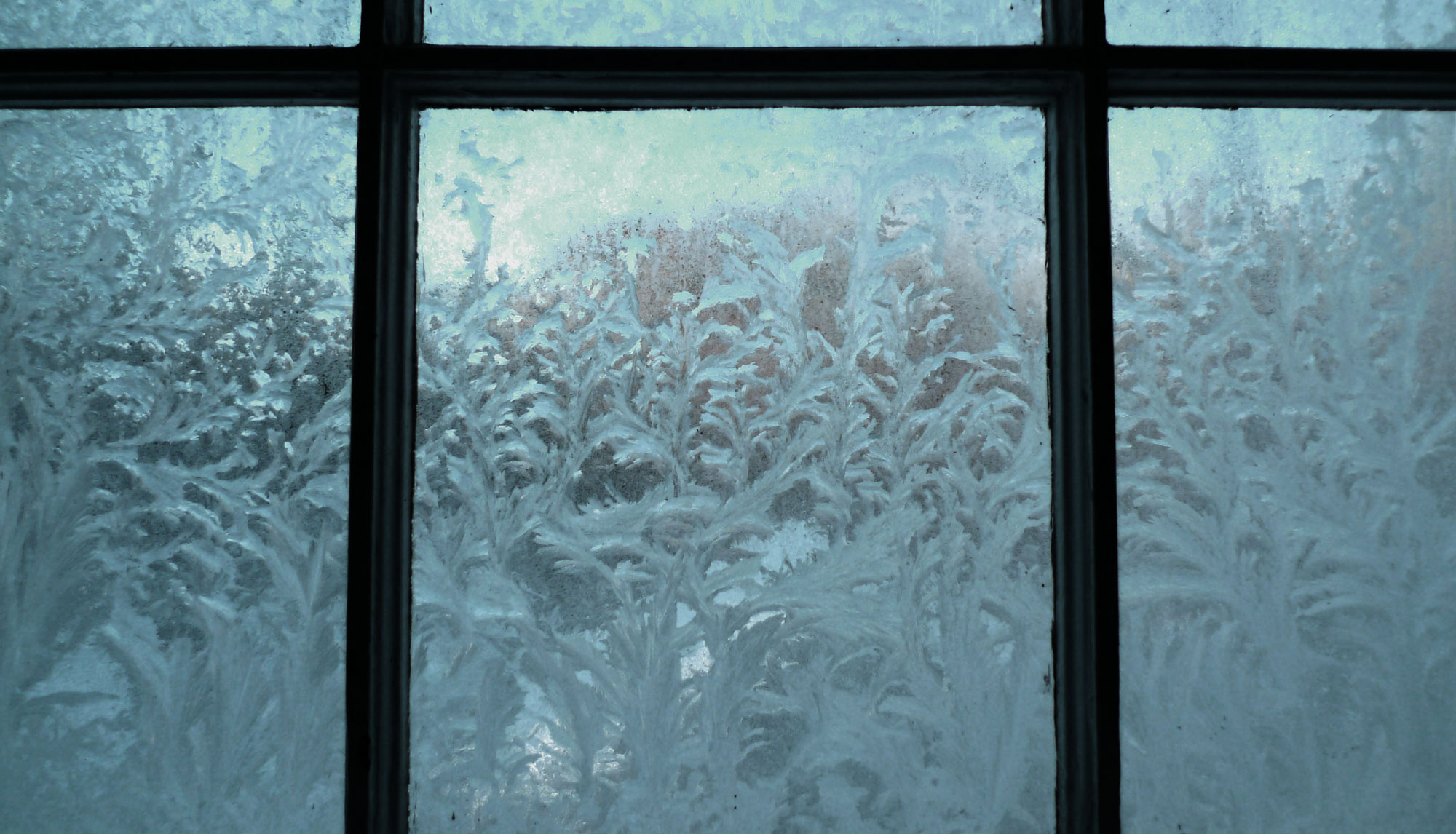 frost2.jpg