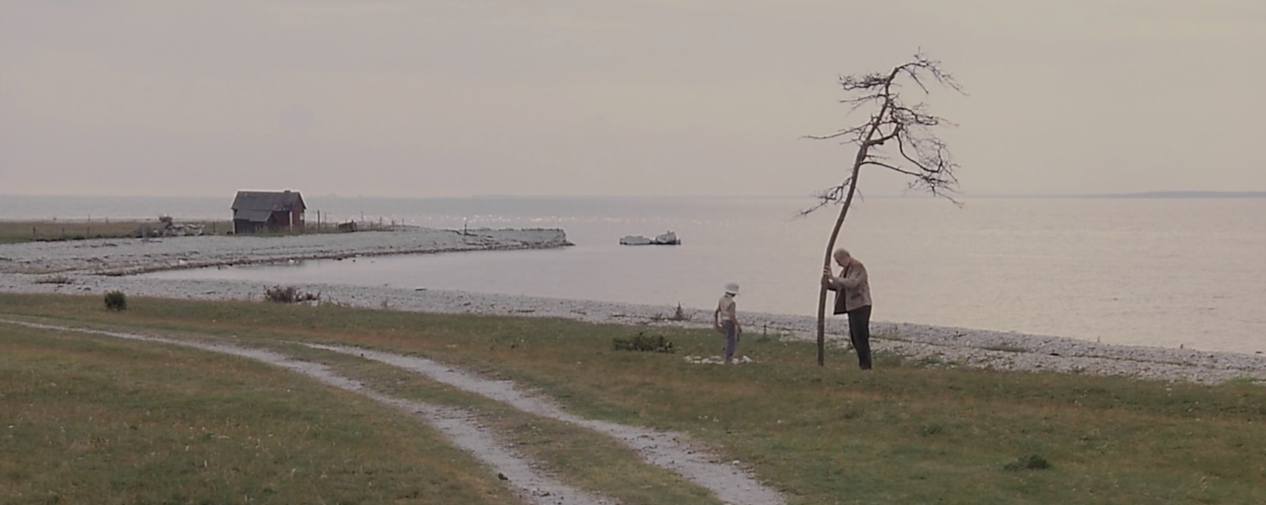 Screenshot 2026-02-01 at 11.15.44 AM.png