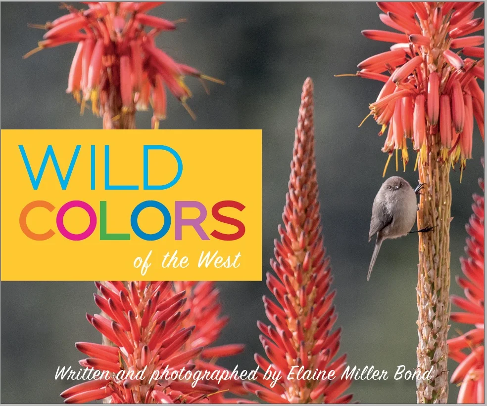 Wild Colors of the West Written and photographed by Elaine Miller Bond Heyday Books, Fall 2019