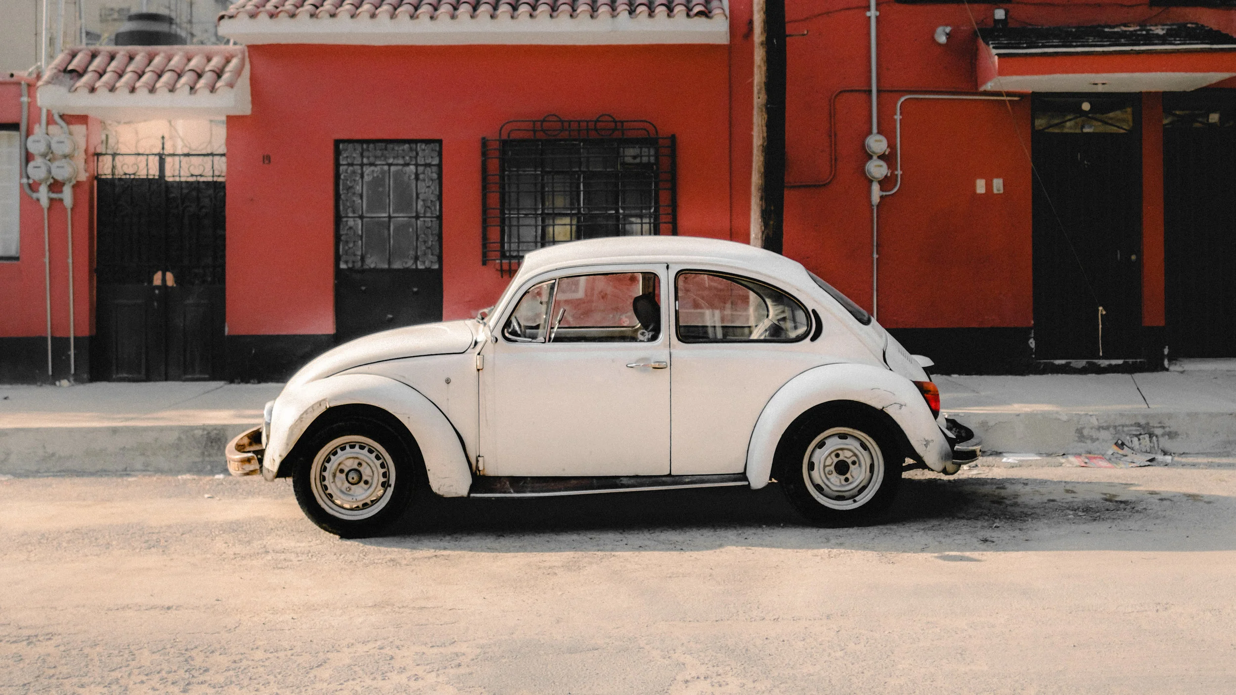 bug (1 of 1).jpg