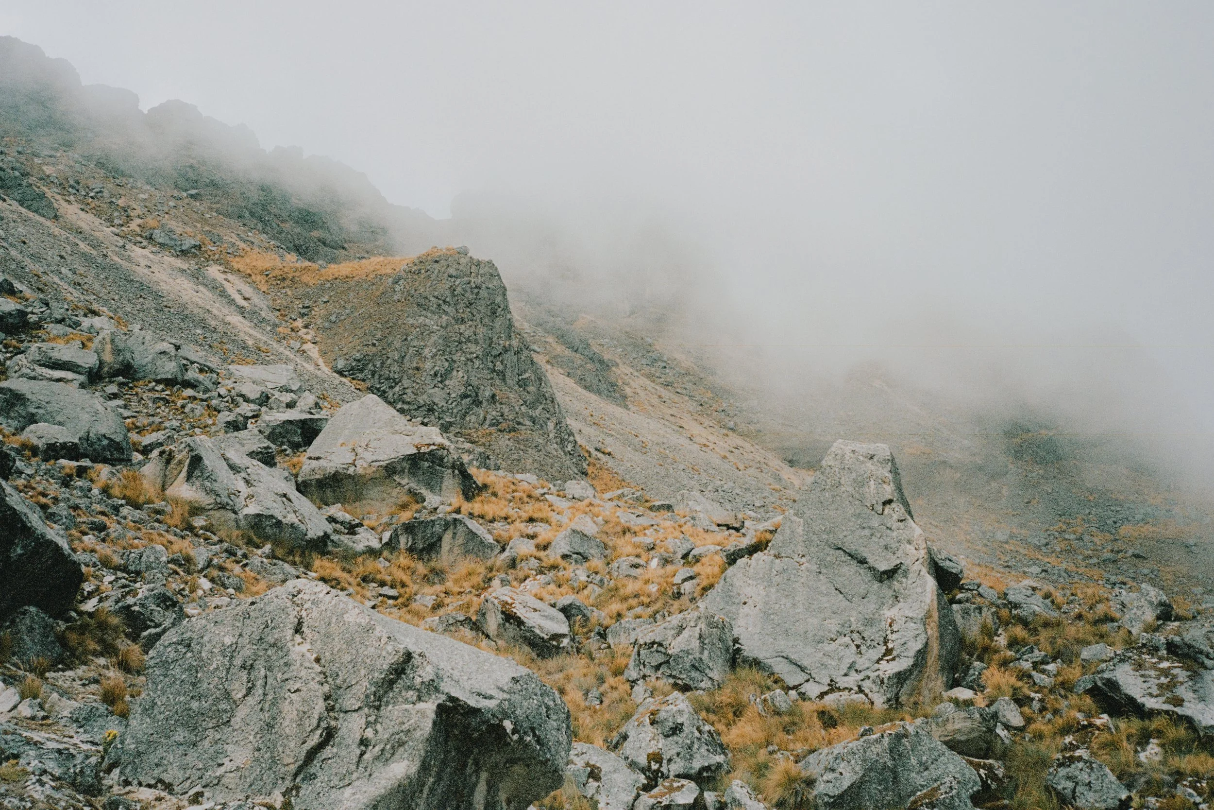 p8.jpg