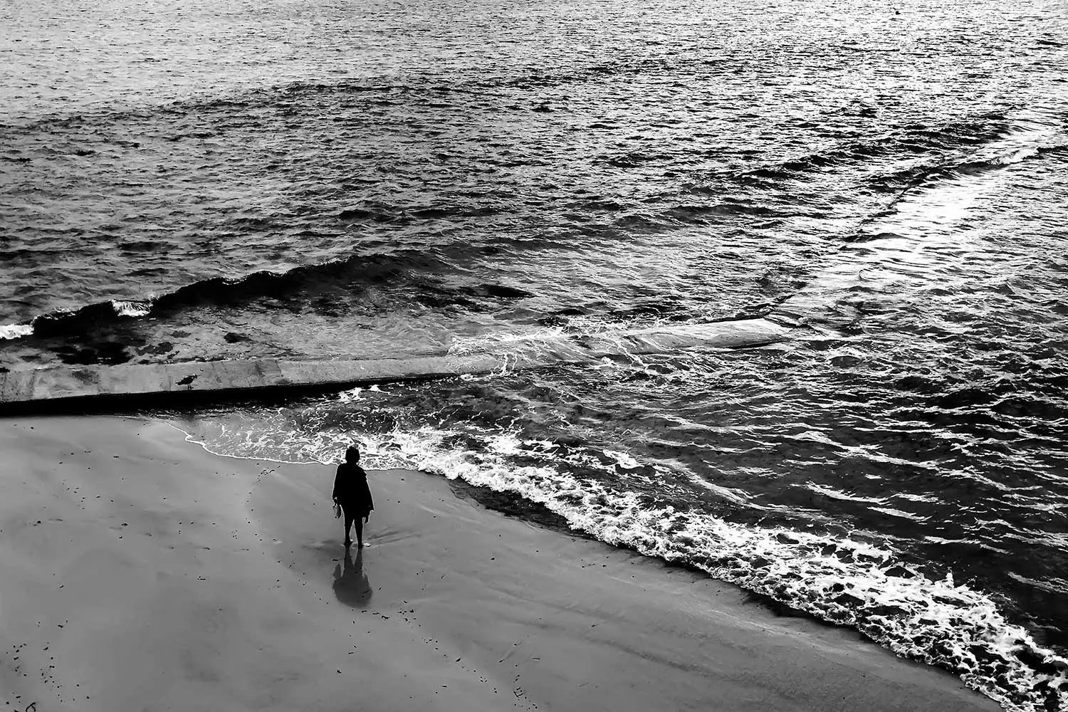 Seeking Solace