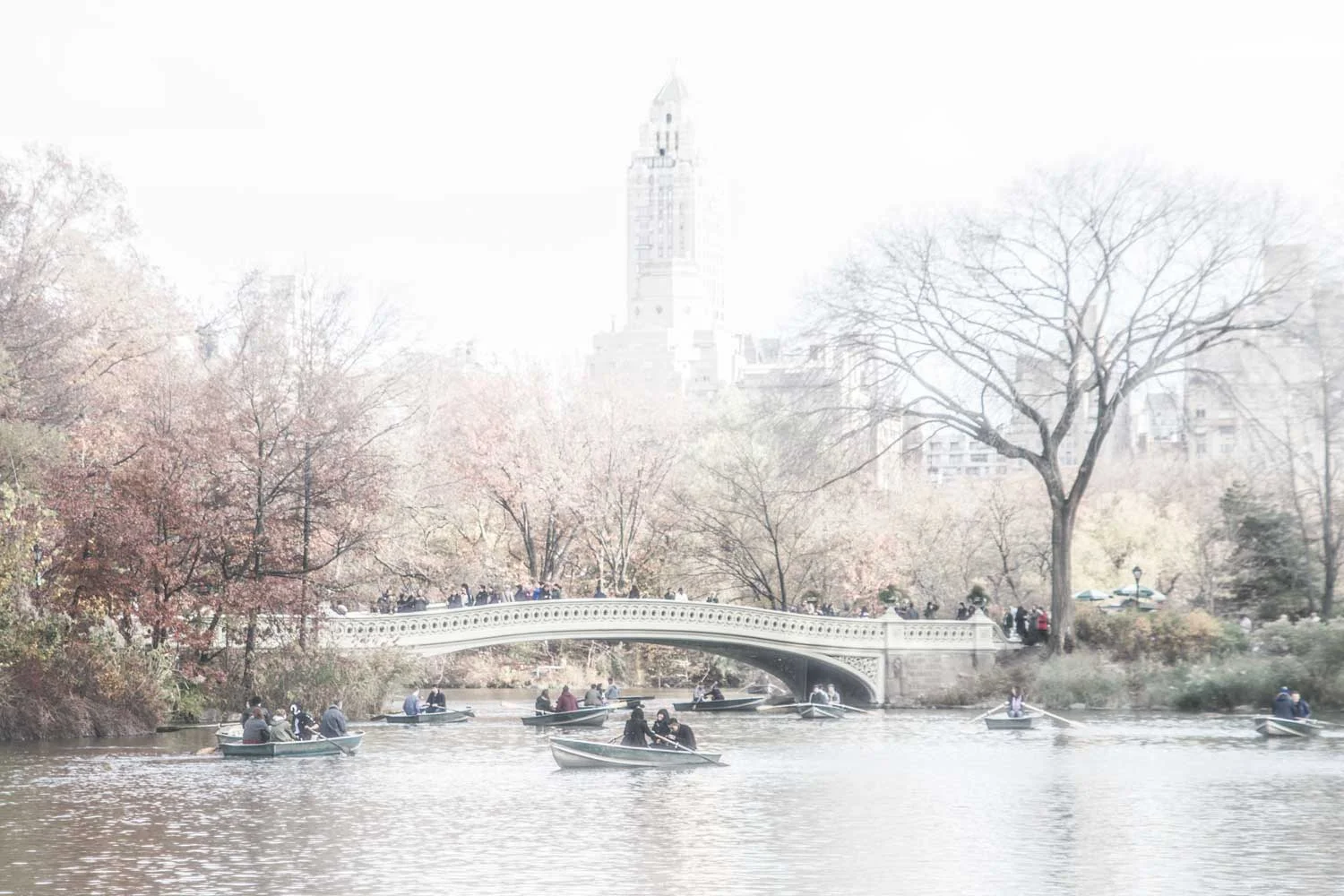 I recall... Central Park in Fall...