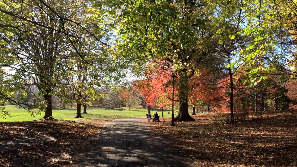Prospect Park, Brooklyn