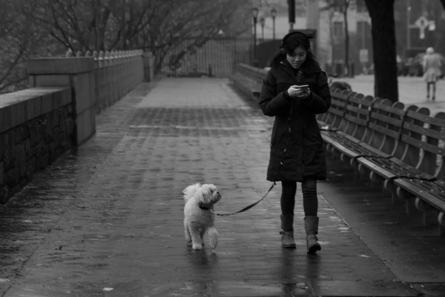 Hoping for good news - she just wanted her human to be happy