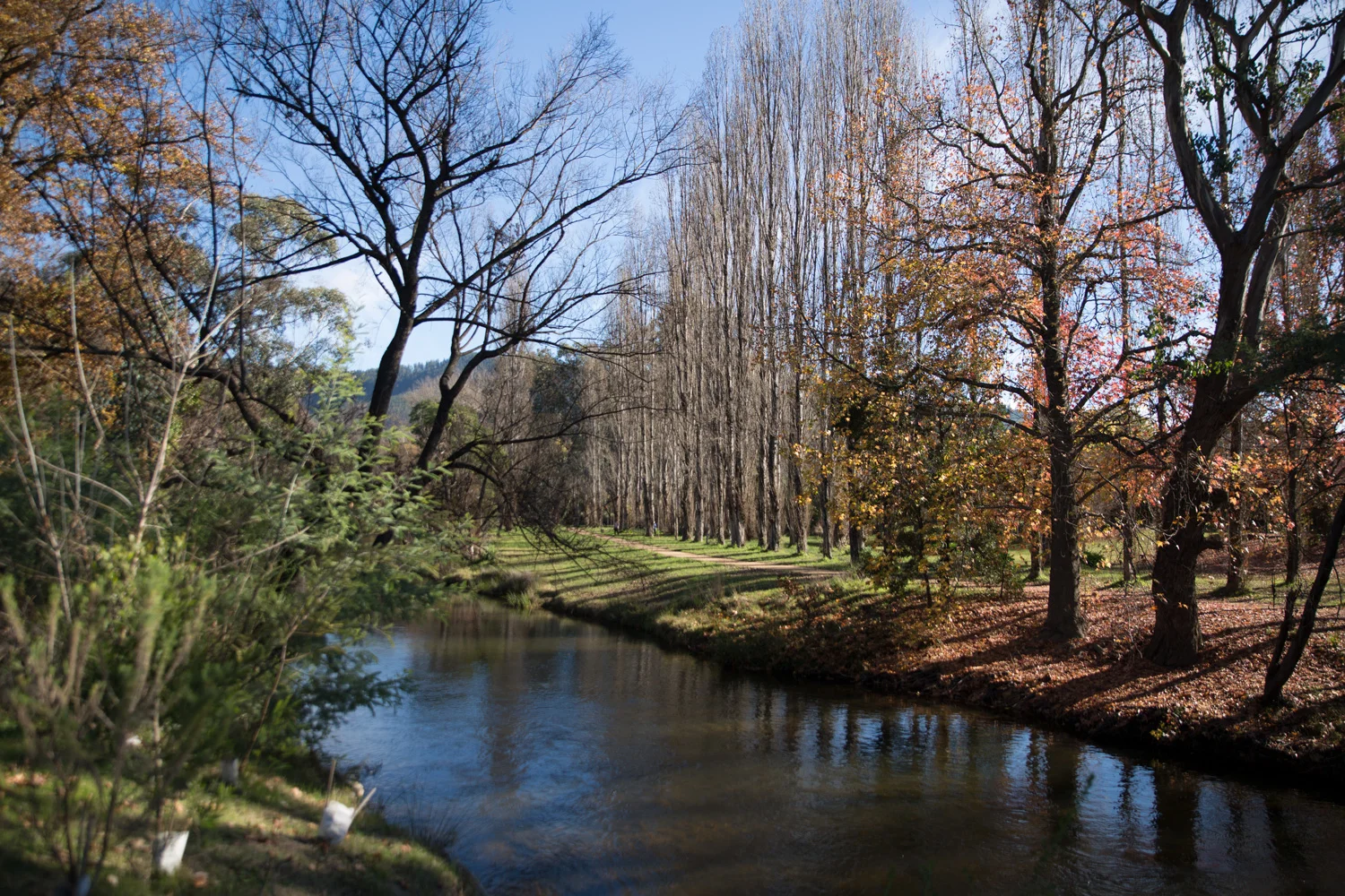 Bright Riverside Park 2