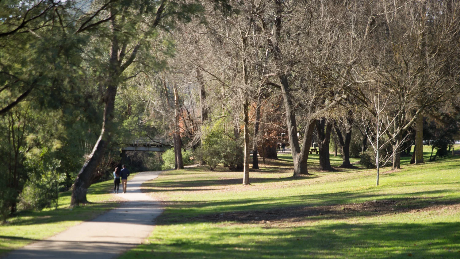 Bright Riverside Park 3