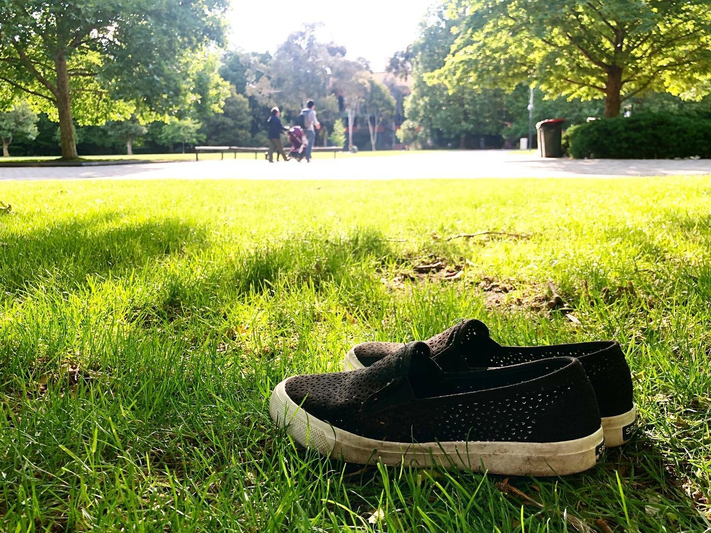Barefoot (with many thanks to @fox_cottage for the time)
South Lawn
University of Melbourne 
Parkville
Melbourne Victoria Australia 
December 2019