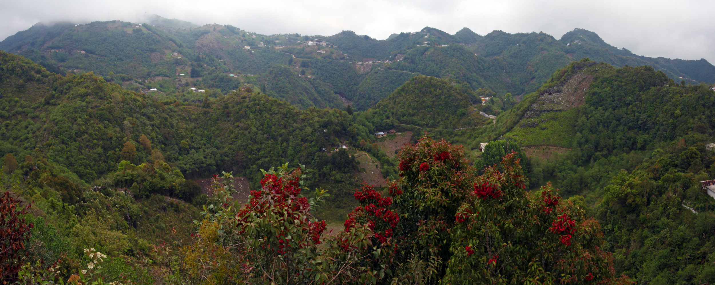 Lush vegitation blankets mountains of karst on the Huautla Plateau.