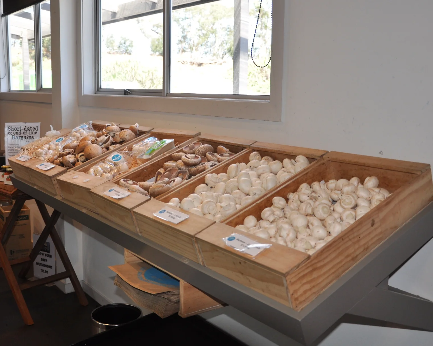 Te Mata Mushrooms