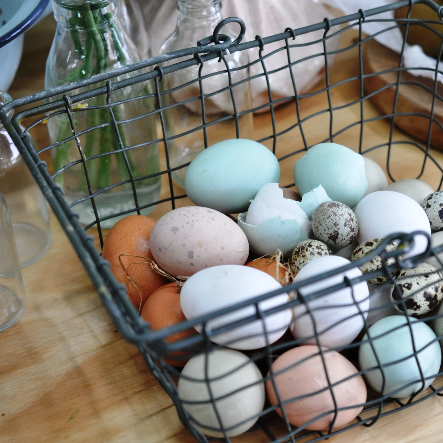 Eggs from The Forest Cantina's chickens