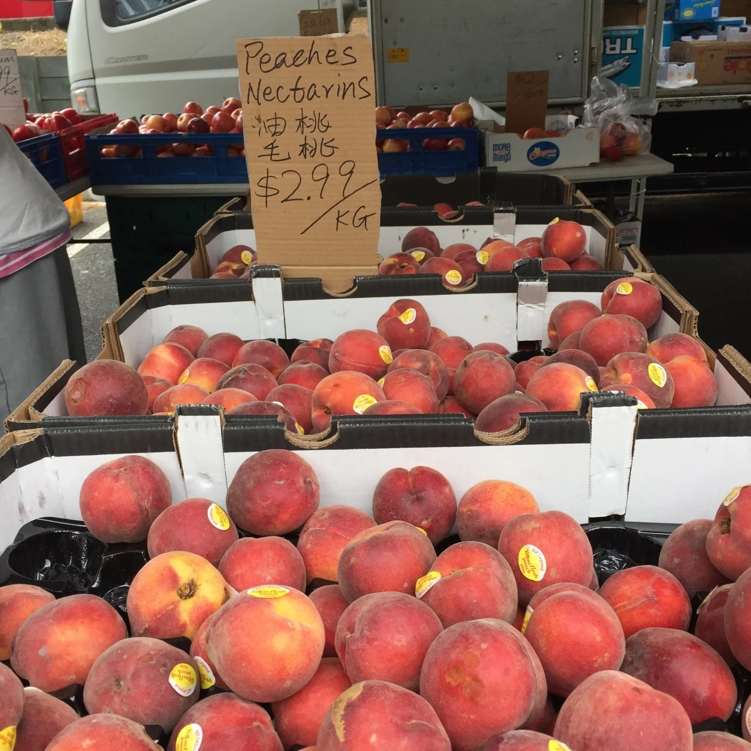 Peaches.JPG