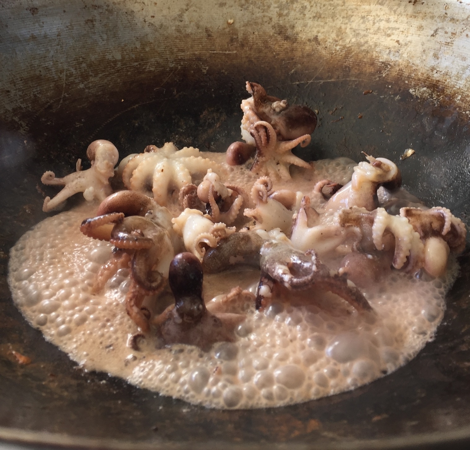 Baby octopuses dancing in the wok
