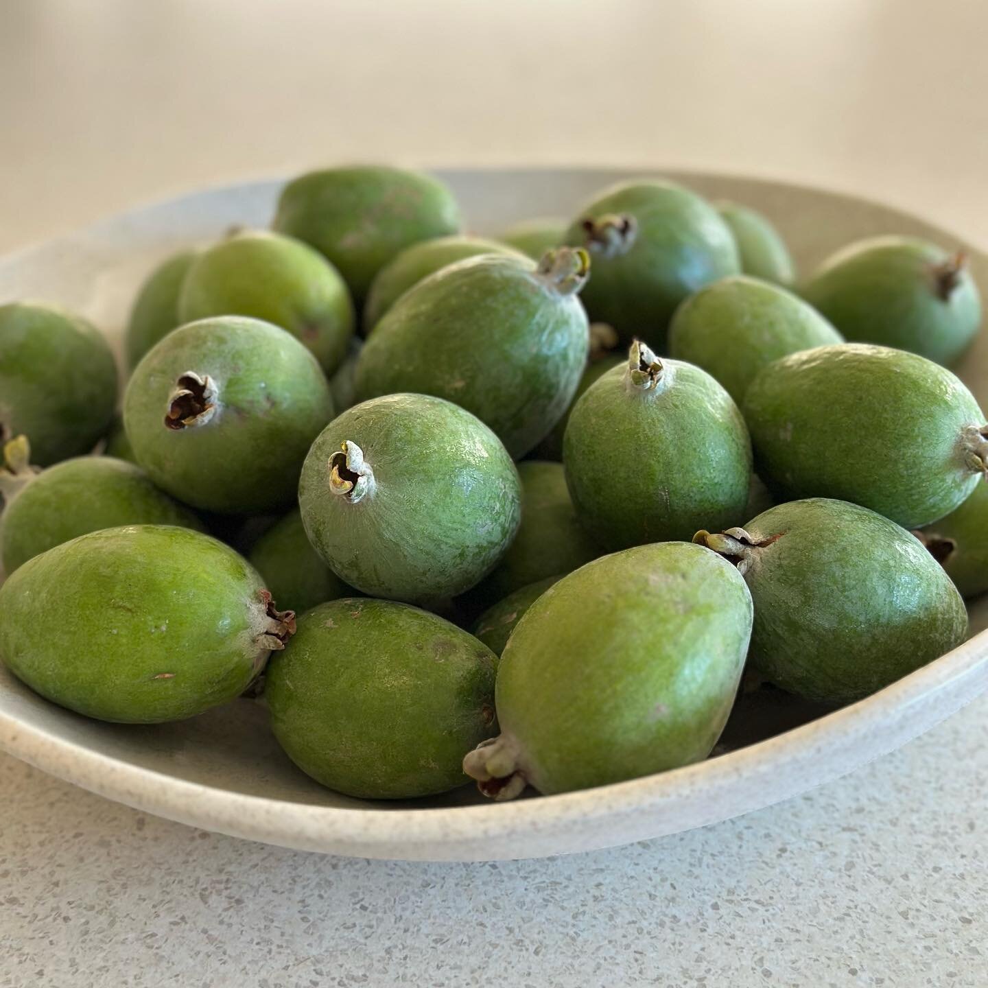 Finally stopped at feijoa stand on outskirts of Havelock North&hellip;hopefully this $5 bag will last all week! #nzfeijoas #5adaynz #nzautumn #eatinseason #eatlocal #foodwriter #foodblogger #foodphotographer #thefoodieinc